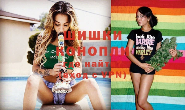 гашик Новодвинск
