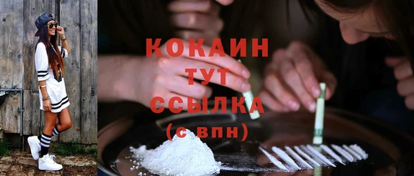 стафф Новозыбков