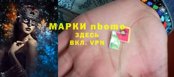 гашик Новодвинск