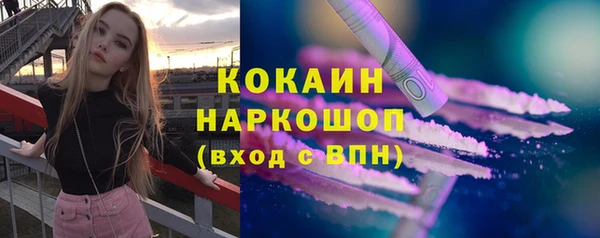 стафф Новозыбков