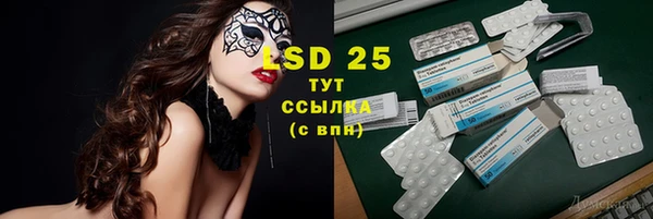 гашик Новодвинск