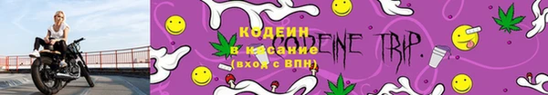 гашик Новодвинск