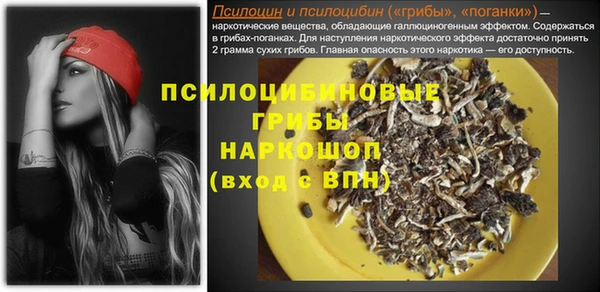 стафф Новозыбков