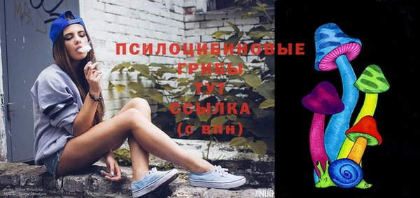 гидра Новокубанск
