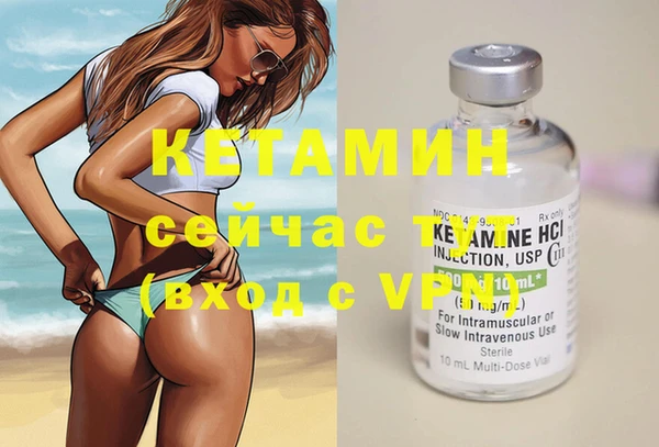 гашик Новодвинск