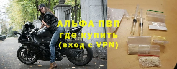 стафф Новозыбков