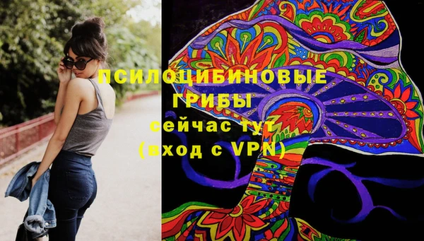 стафф Новозыбков