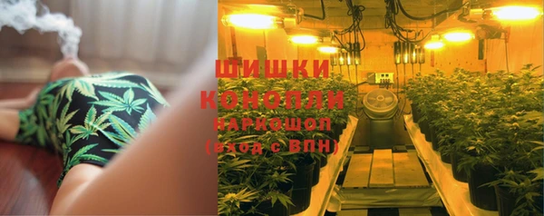 стафф Новозыбков