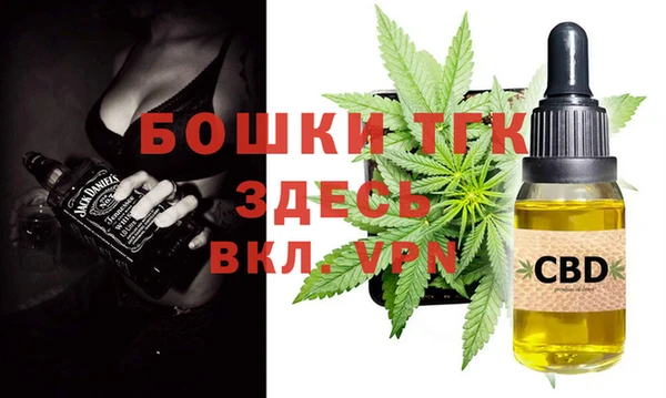 гашик Новодвинск