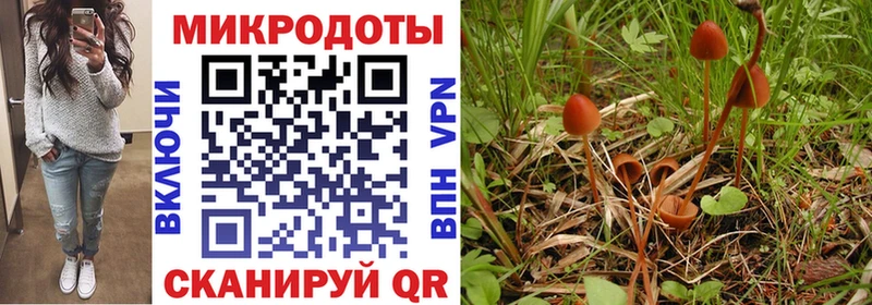 MEGA маркетплейс  Электроугли  Галлюциногенные грибы Psilocybine cubensis  хочу наркоту 